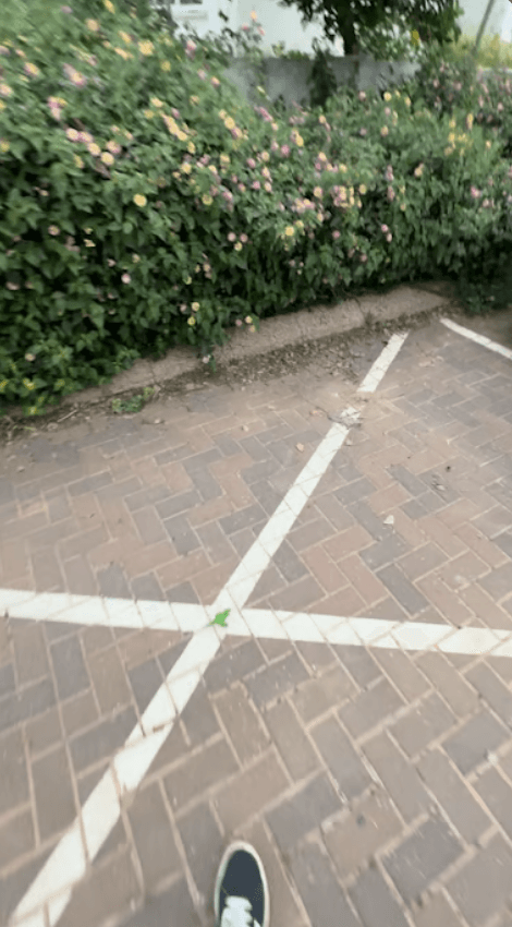 צילום החפץ במקום הרכב